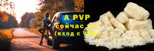 молекула духа Осташков
