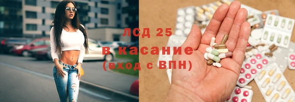 трава Абаза
