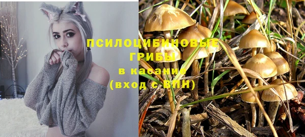 трава Абаза