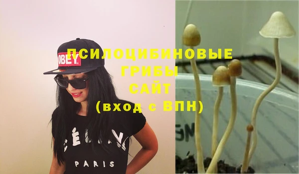 молекула духа Абдулино