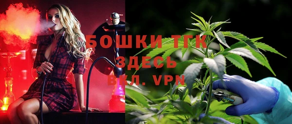 трава Абаза