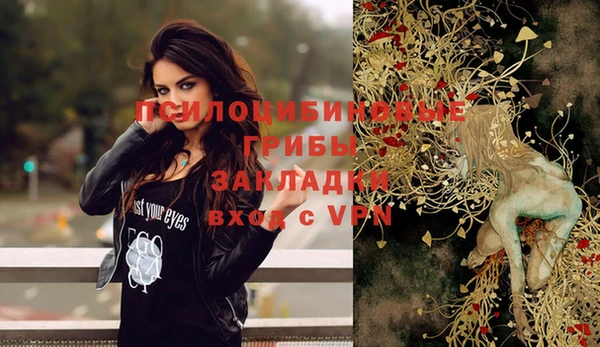 трава Абаза