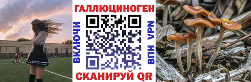 МЕГА зеркало  Барнаул  Псилоцибиновые грибы Cubensis 