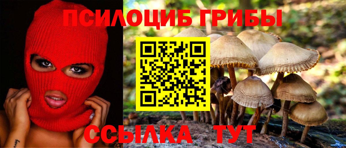 Барнаул  Галлюциногенные грибы прущие грибы  Псилоцибиновые грибы MAGIC MUSHROOMS  Вход с VPN 